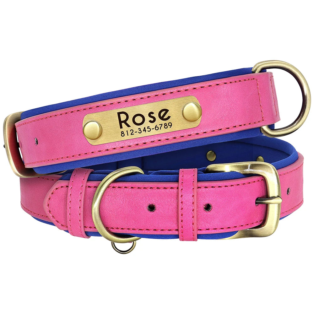 Leather Dog Collar Leash And Collar With Free Engraved Nameplate