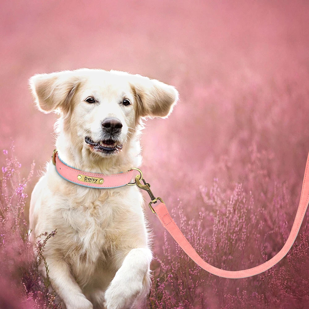 Leather Dog Collar Leash And Collar With Free Engraved Nameplate