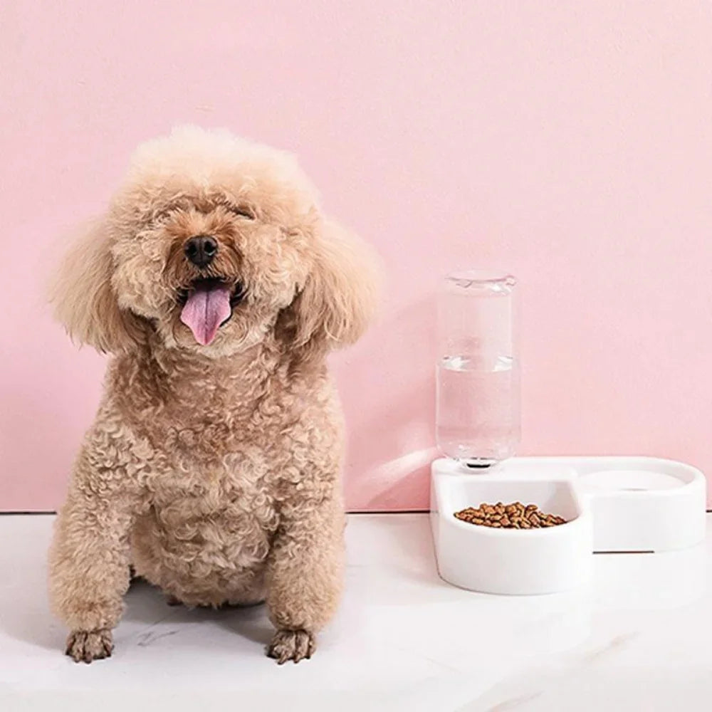 Automatic Pet Feeder & Water Bowl 500ml, Portable
