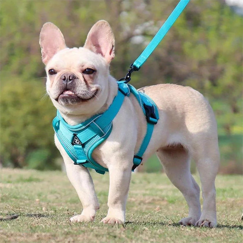 No Pull Dog Harness and Leash Set Adjustable Pet Harness Vest.