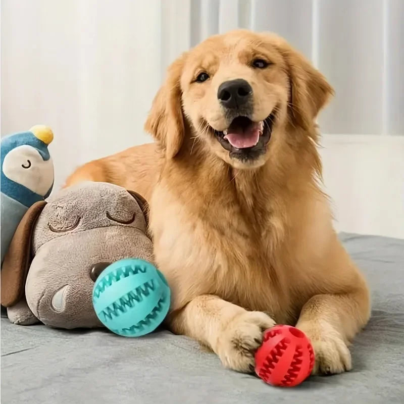 Durable Rope Dog Toy for Aggressive Chewers.