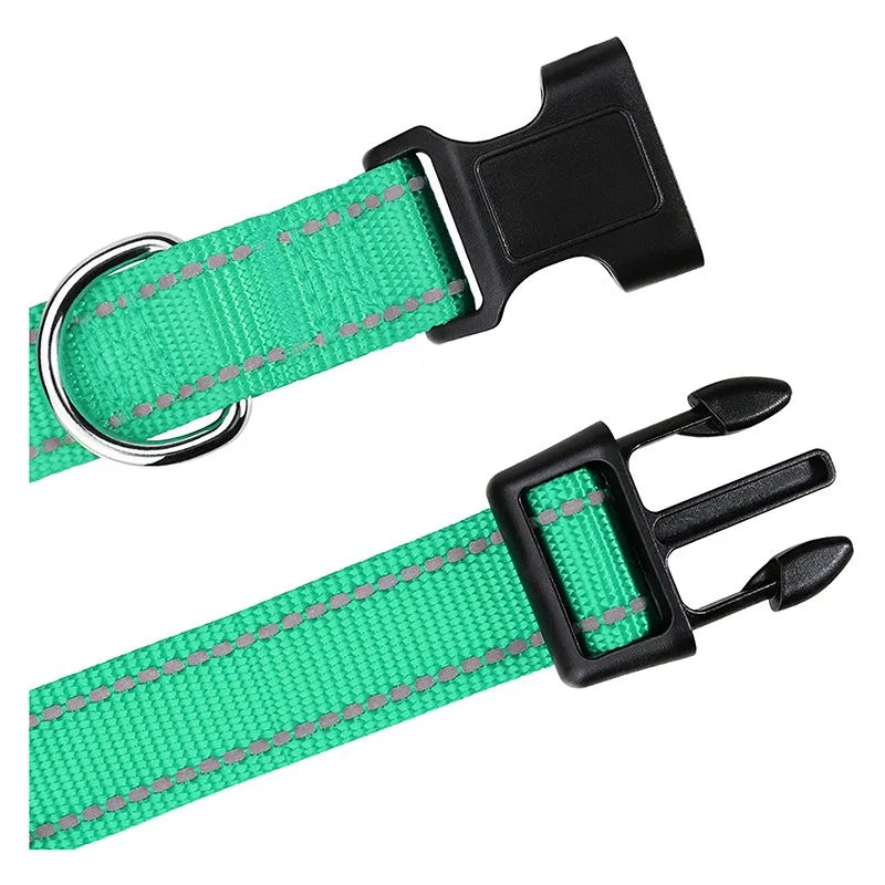 Choker Neck Collars for Dogs