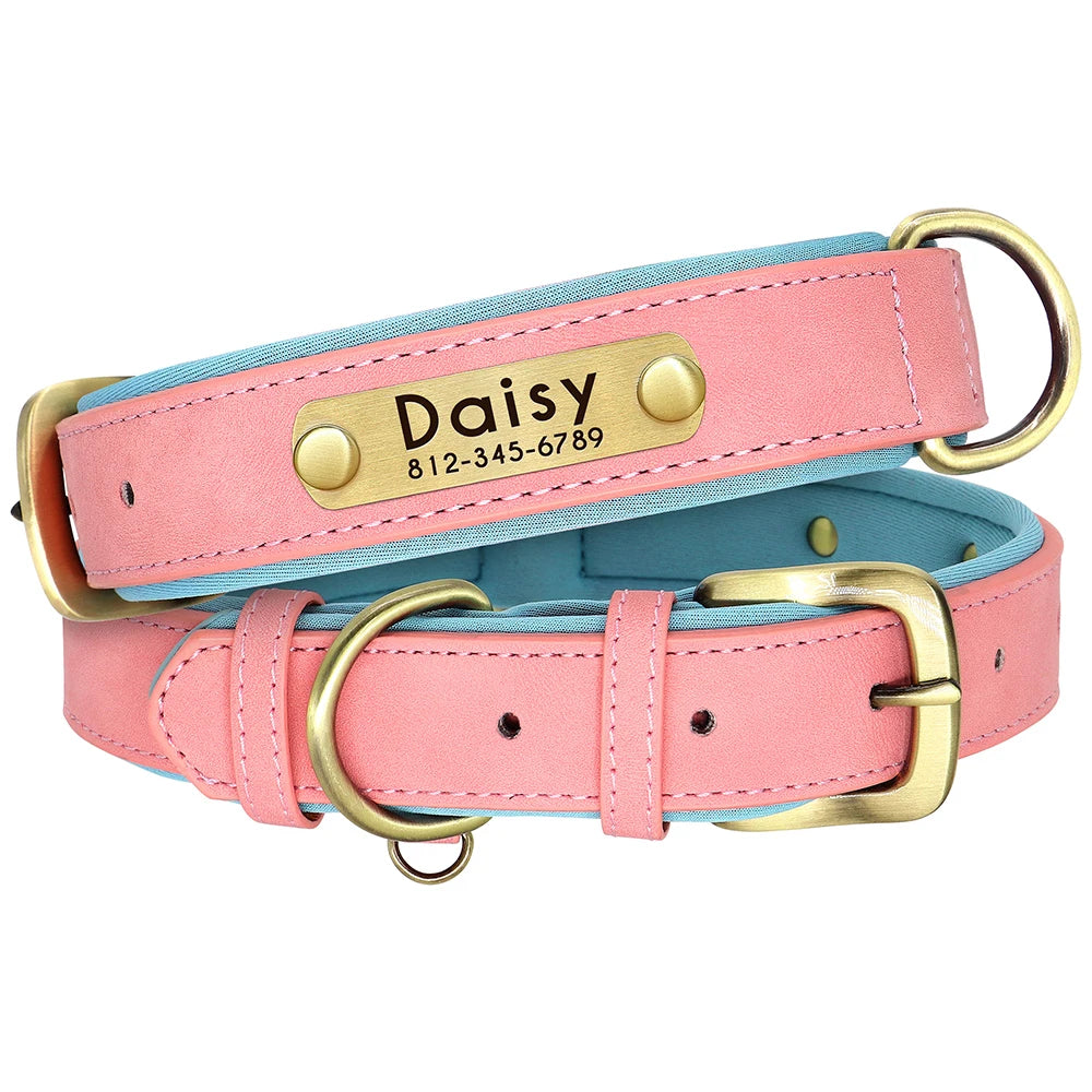 Leather Dog Collar Leash And Collar With Free Engraved Nameplate