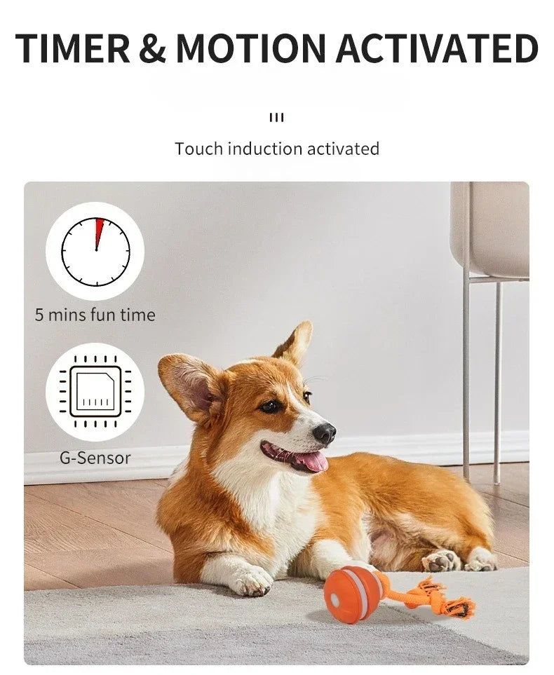 Pet Ball for Dogs Interactive Motion Activate Rolling Ball.