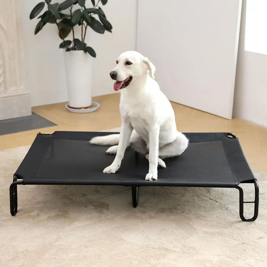 Elevated Outdoor Dog Bed Dog Cots beds for Large Dogs