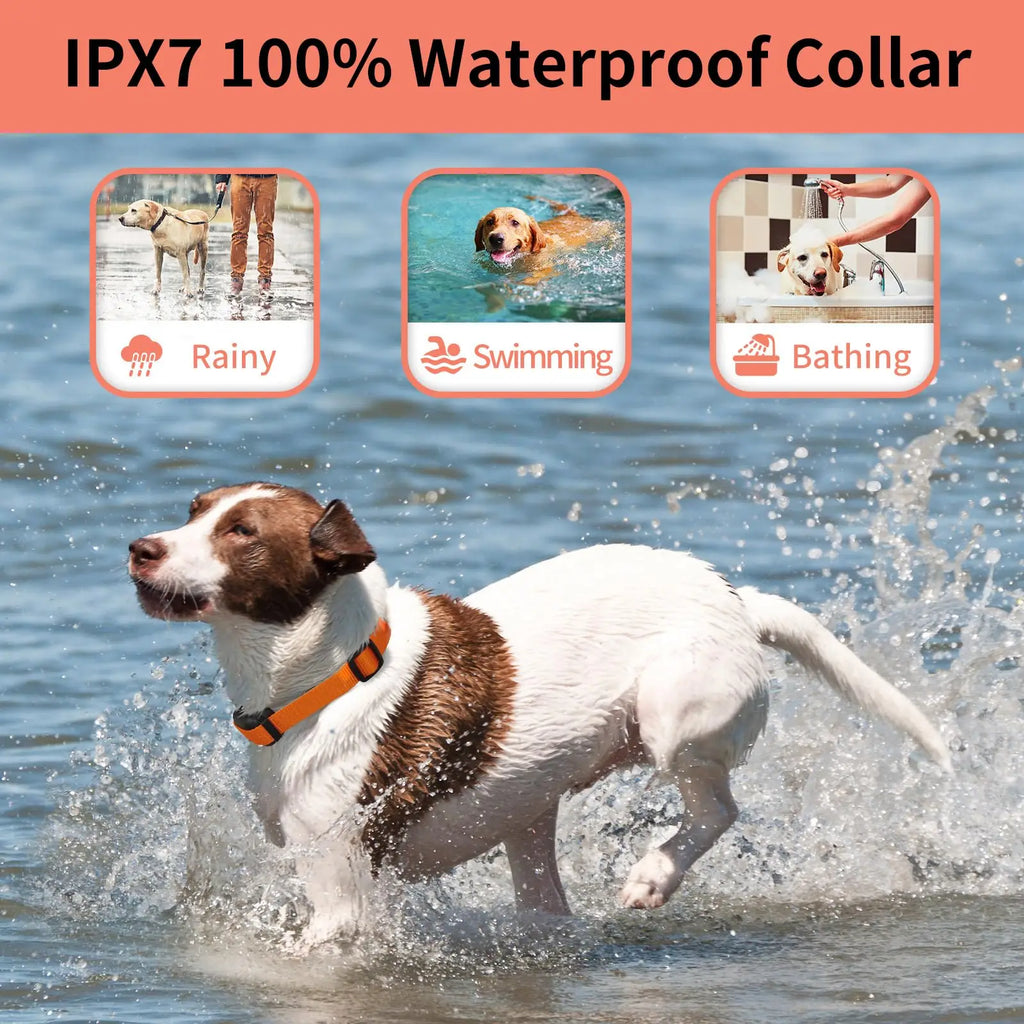 No Shock Dog Training Collar, 3300ft Remote Waterproof Beep & Vibration Collar.