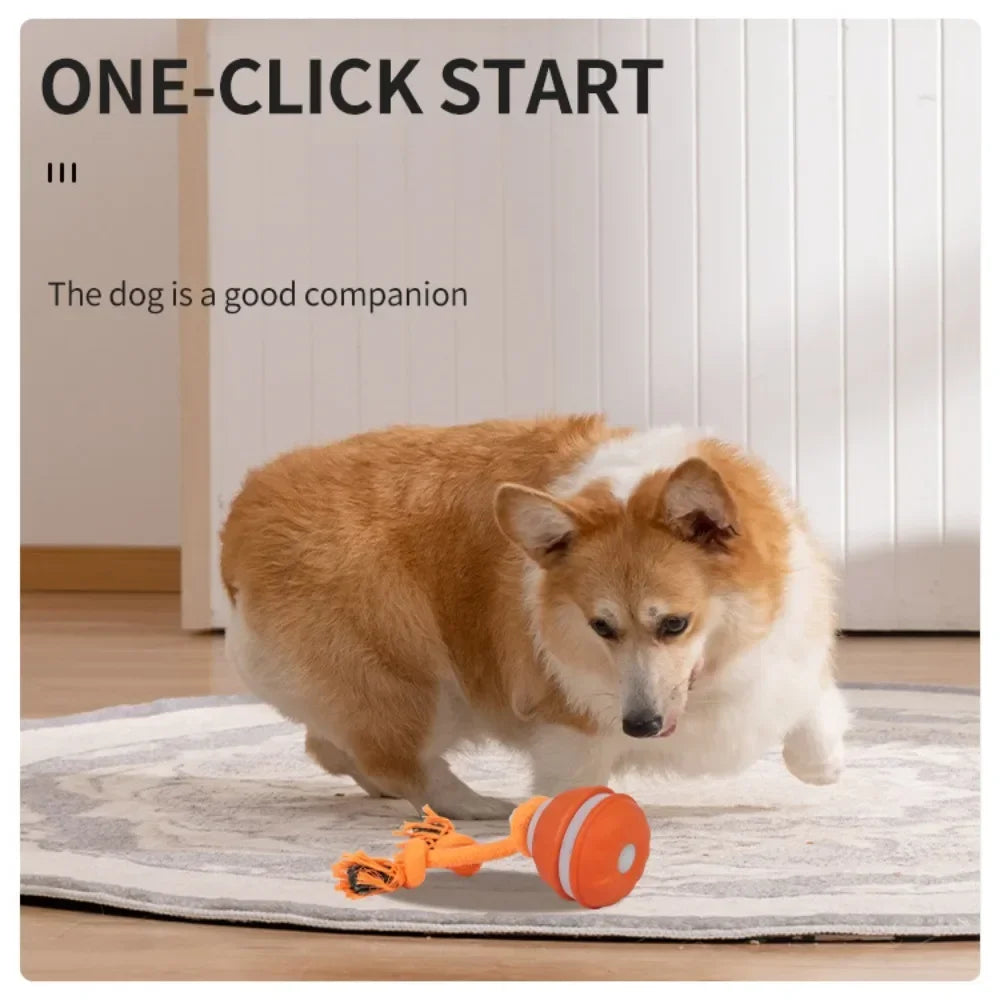 Pet Ball for Dogs Interactive Motion Activate Rolling Ball.