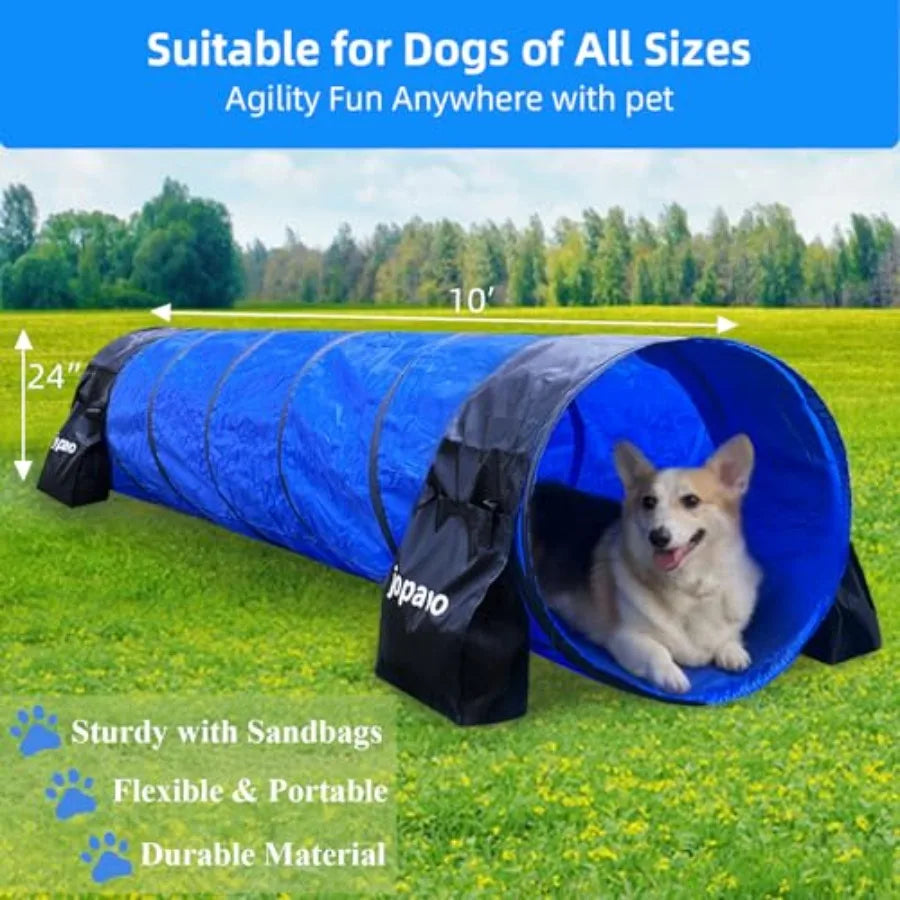 Dog Agility Training Equipment Tunnel: 10 Foot Agility Tunnel with 2 Pack Sandbags Carry Bag and 4 Ground Spikes.Ideal Agility