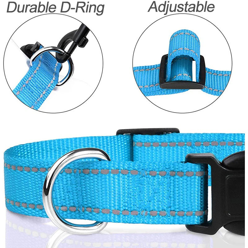 Choker Neck Collars for Dogs