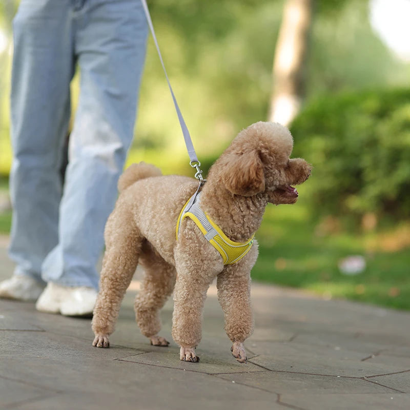 Dog Harness Leash Set for Small Dogs Adjustable