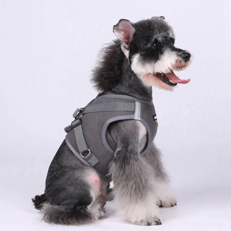 Pet Harness With Airtag Tracker And Leash Sets