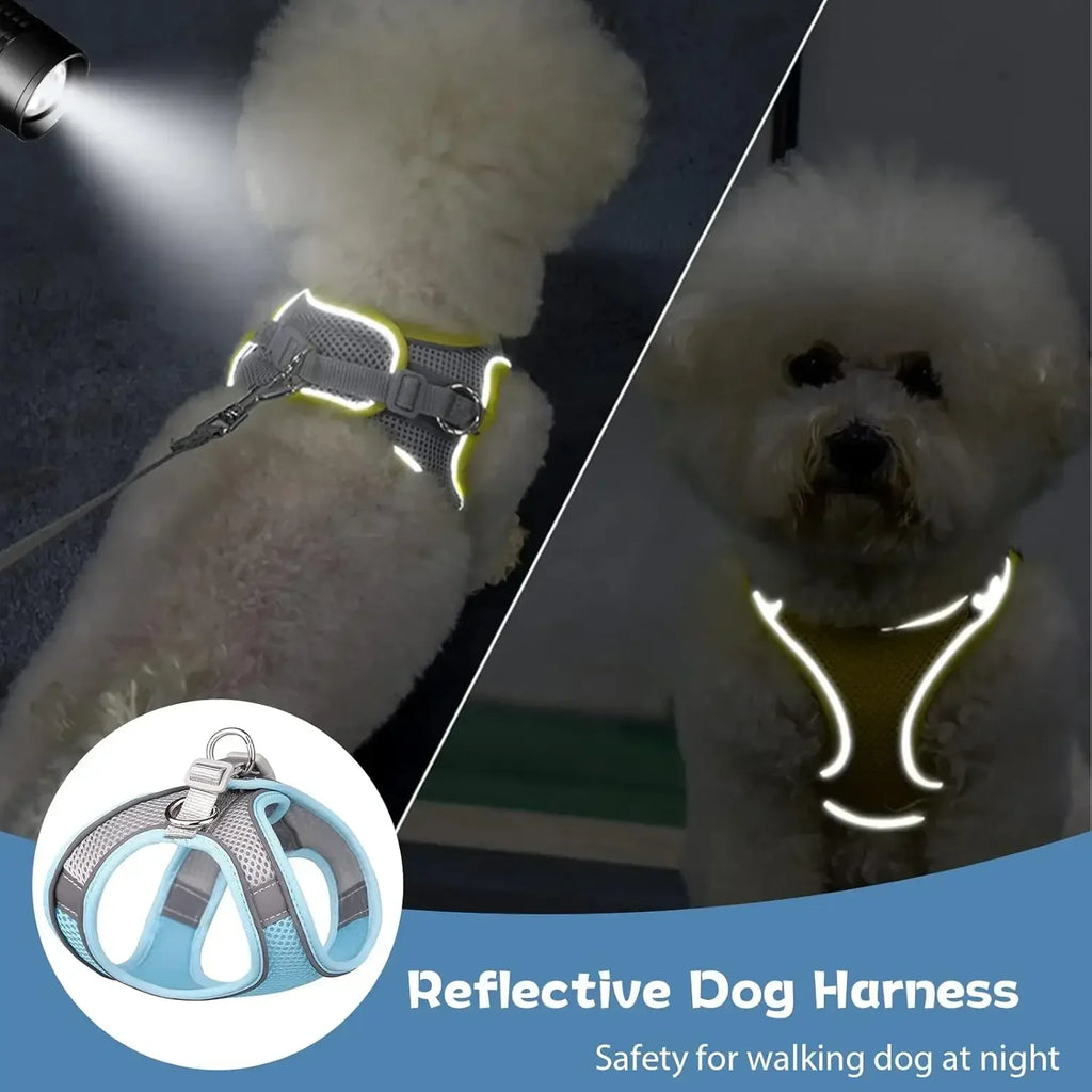 Escape-Proof Dog Harness and Leash Set for Small Dogs