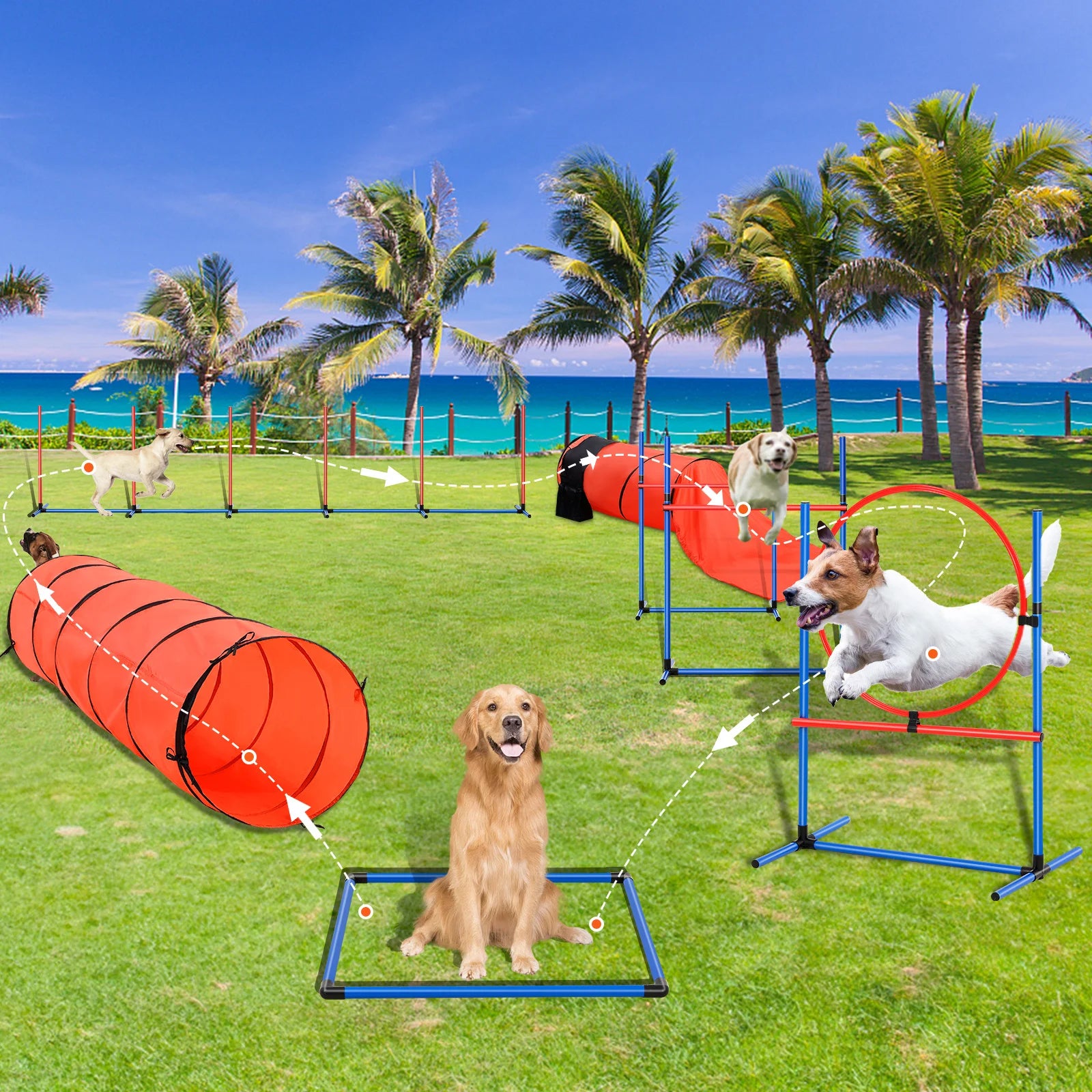 Dog Agility Training Equipment 4 PCS/5 PCS/7 PCS Set