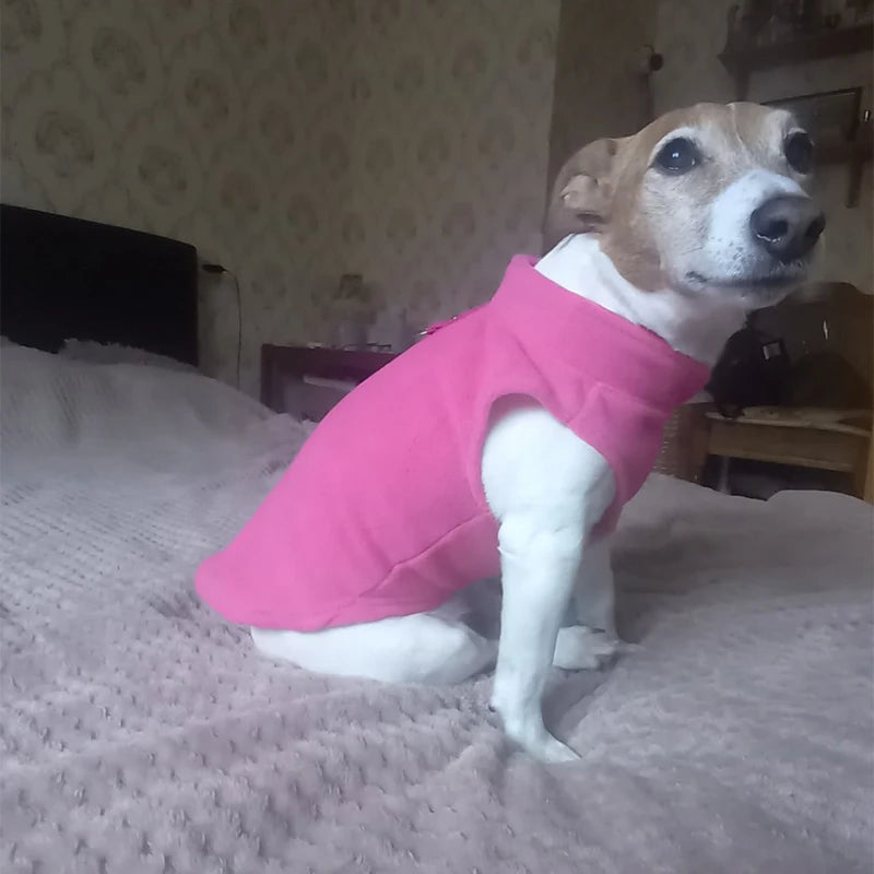 Warm Fleece Dogs Clothes Pet Dog Jacket Vest With D-Ring For Small Dog
