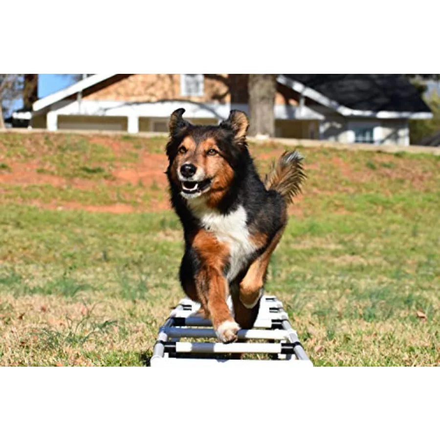 Agility Training Ladder Dog Agility Training Equipment Dog Training Equipment
