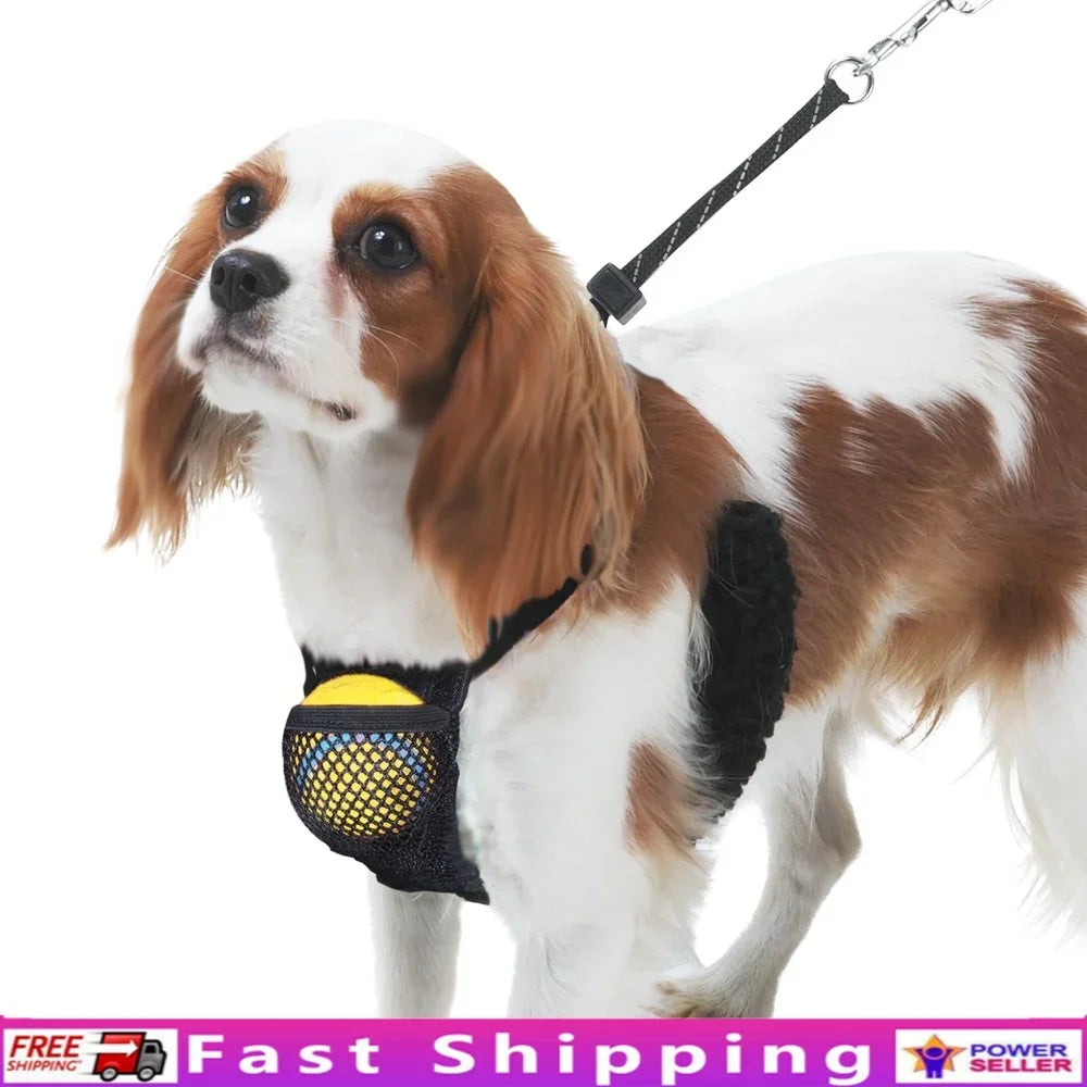 Non-Pulling Dog Harness with Storage Pouch Adjustable Reflective