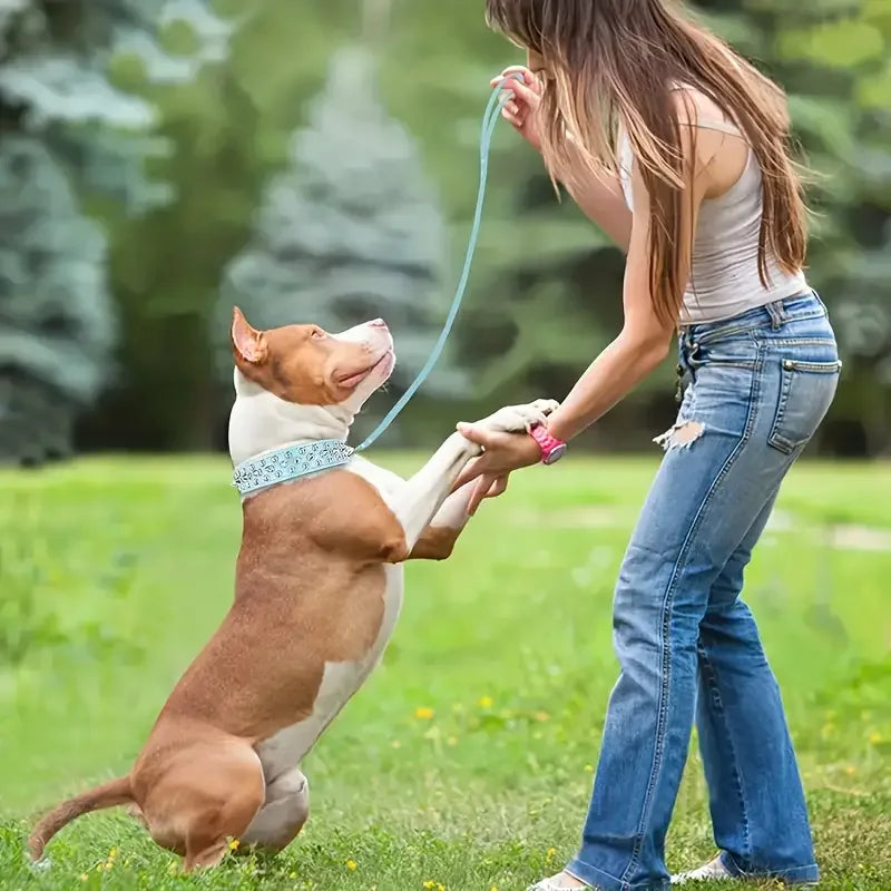Spiked Dog Collar And Leash Set, Rivet Leather Dog Collar