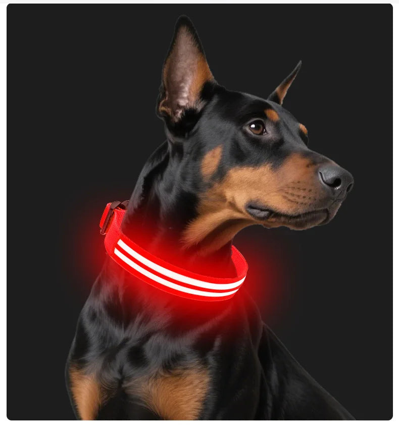 Light Up Dog Collar Night Walk Color LED Glowing