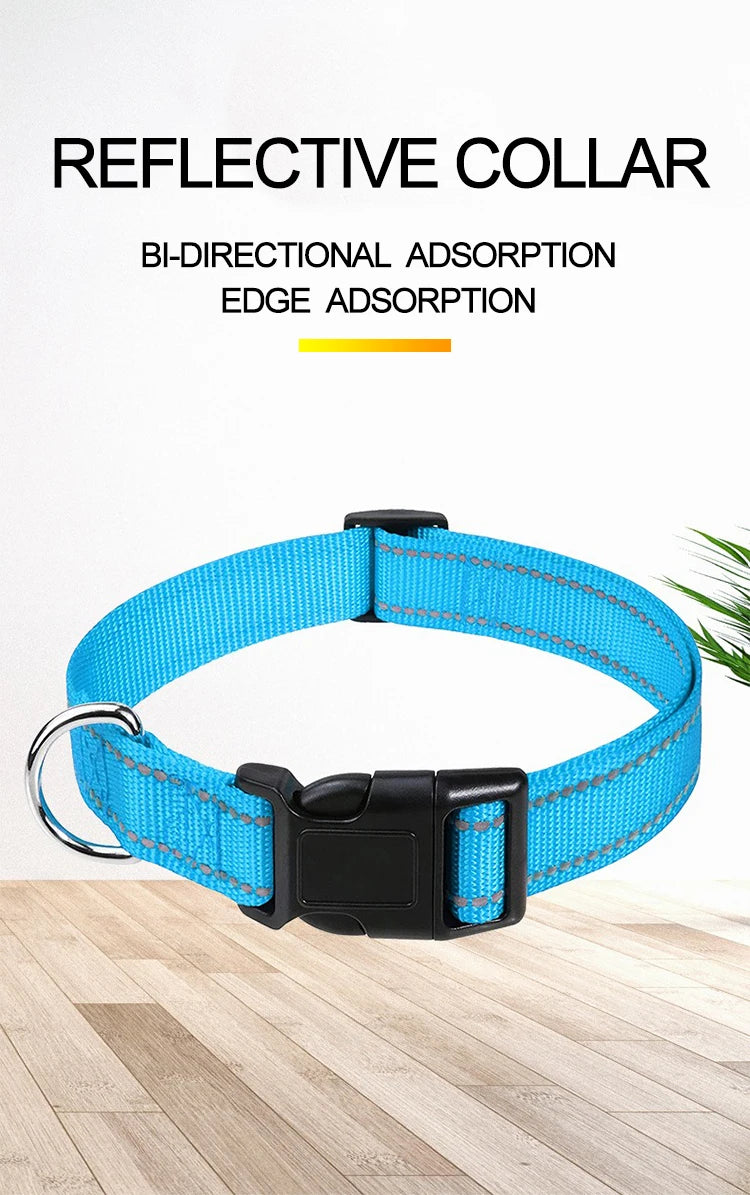 Choker Neck Collars for Dogs