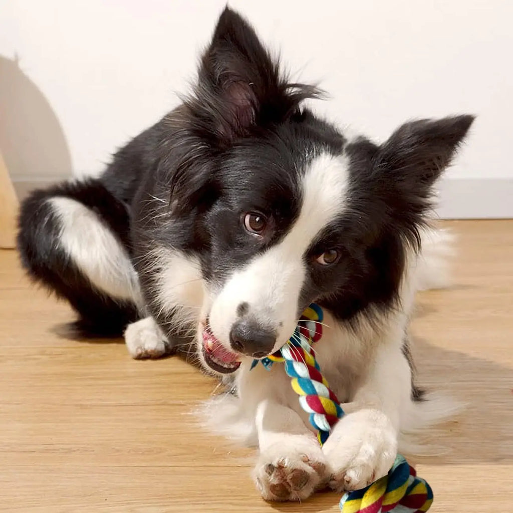 Colorful Braided Dog Rope Chew Toys-Durable Interactive