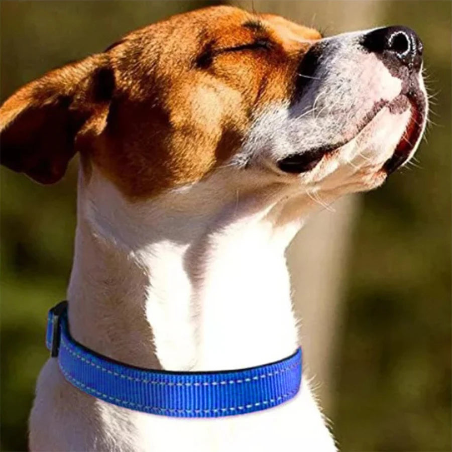 Reflective Dog Collar Soft Padded Breathable Safety Stripes