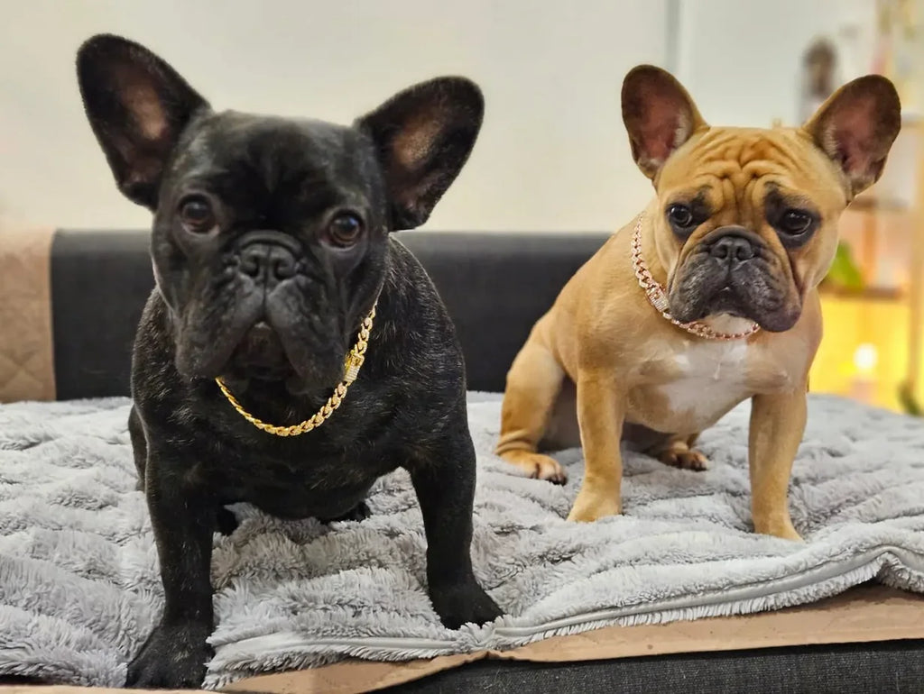 Chain Diamond Cuban Collar Metal Chain
