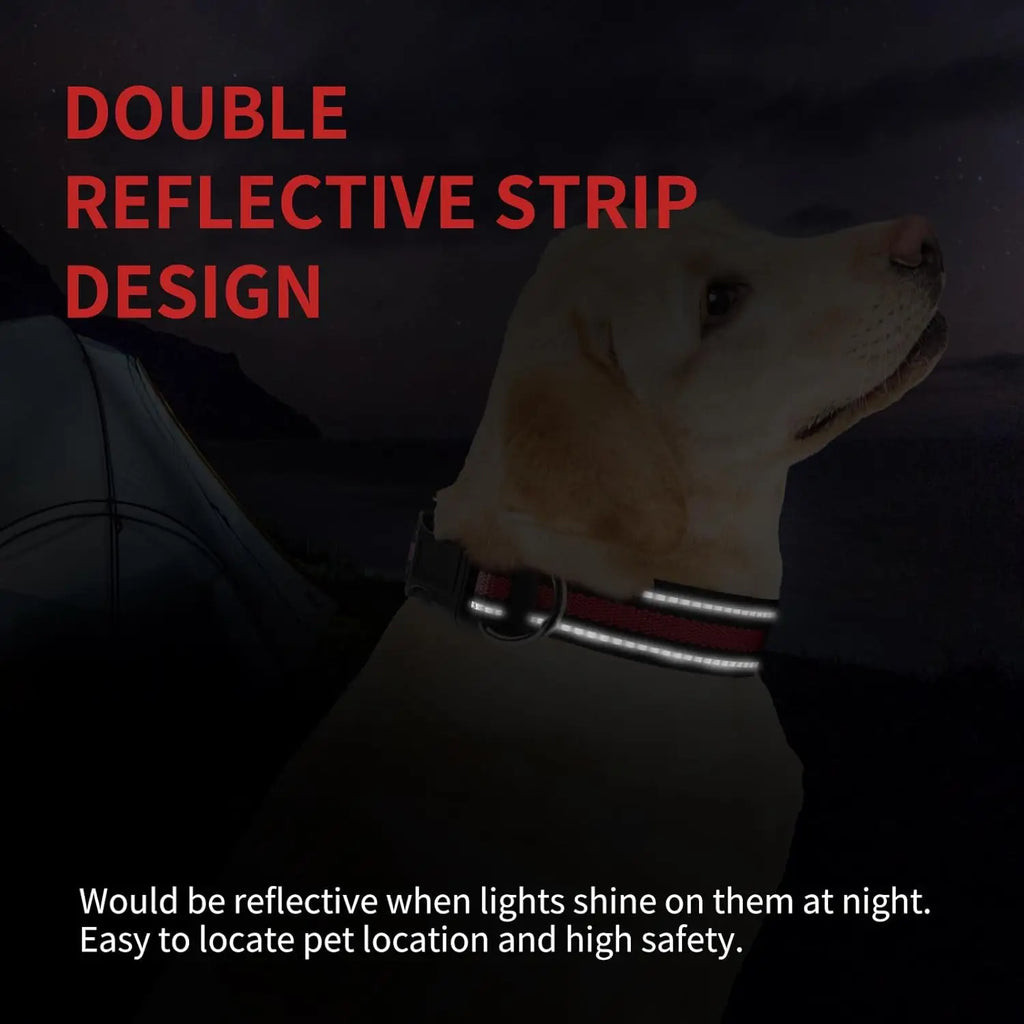 Highly Reflective Adjustable Dog Collar with Dual Metal D-Rings