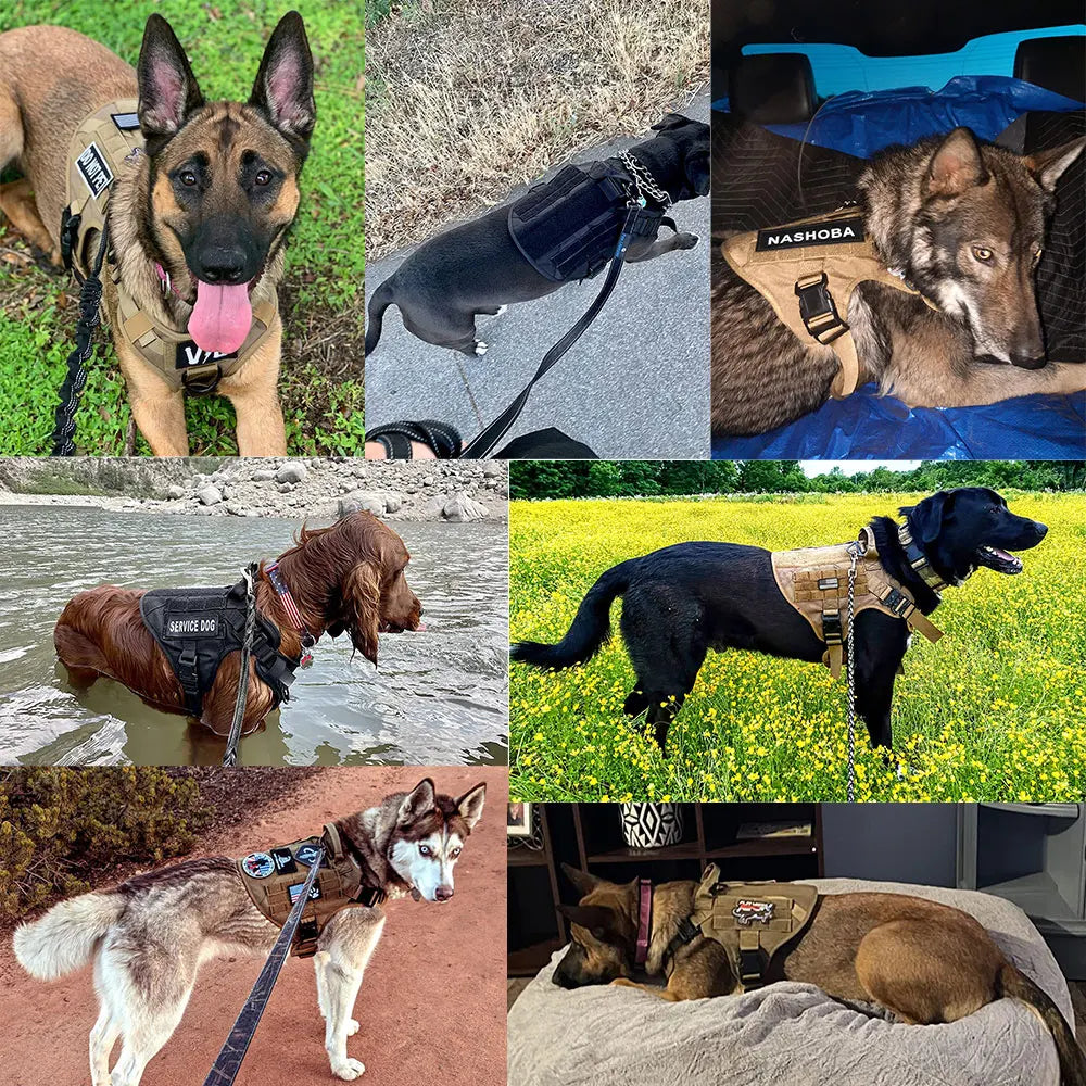 Tactical Dog Harness Leash Set for Large Dogs Military Harnesses