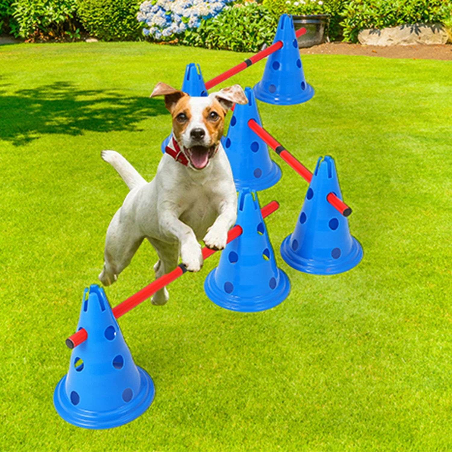 Dog Agility Hurdle Cone Set  Include 12 Agility Cones 6 Agility Rods