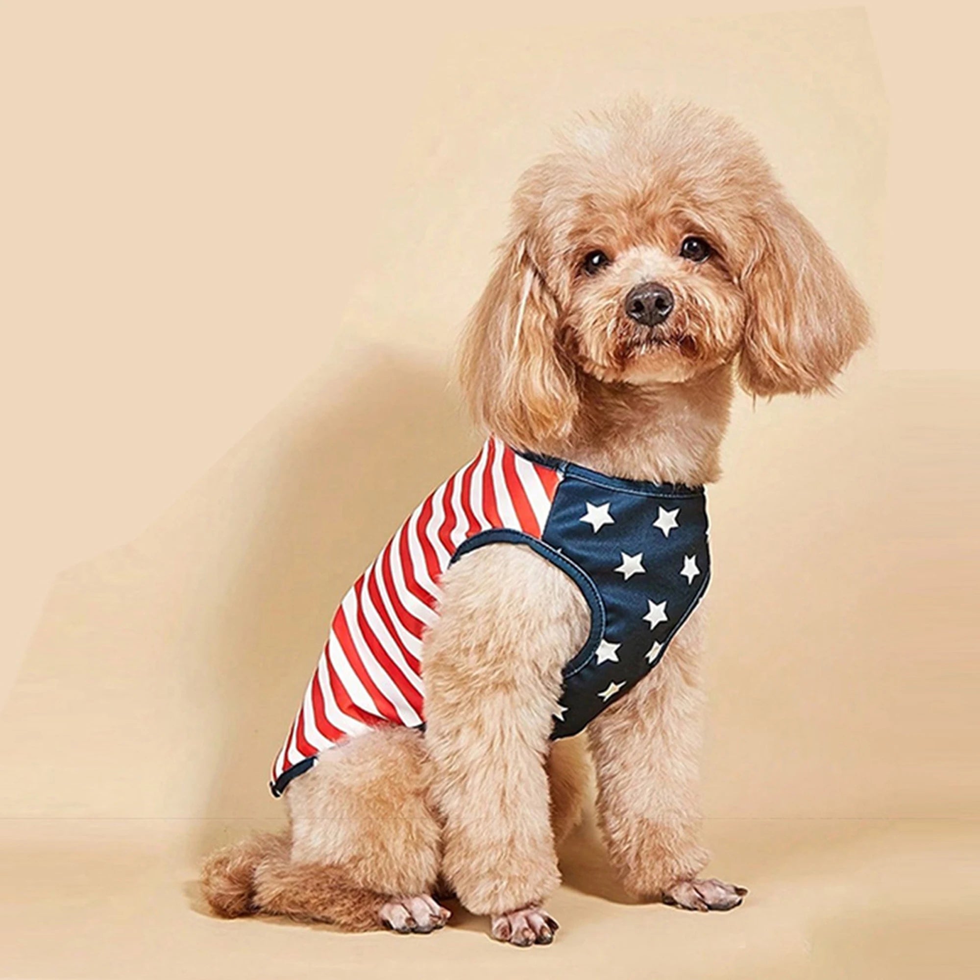 American Flag Patriotic Dog Bandana Scarf Set with Bow Tie