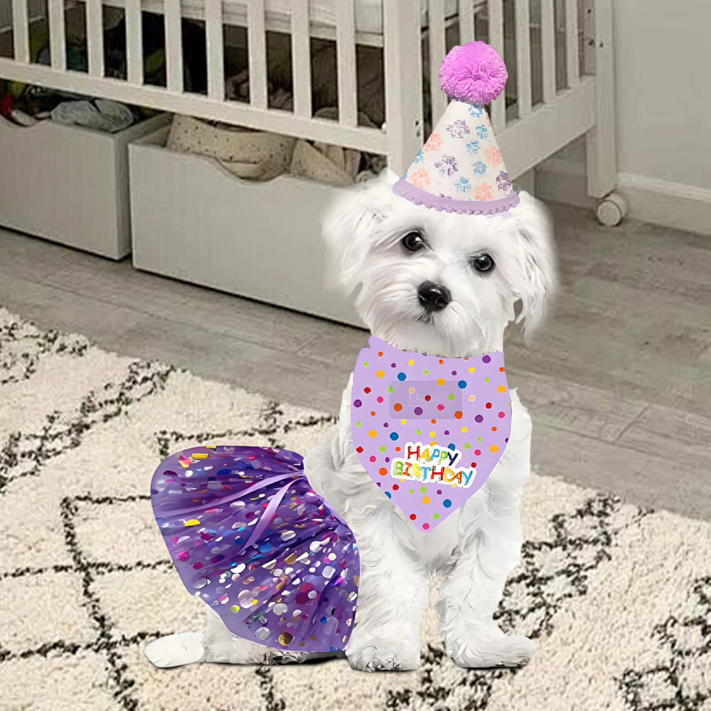Birthday Costume Set Adorable Party Hat with Matching Skirt and Scarf