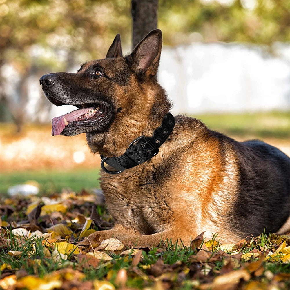 Tactical Dog Collar 1pc Durable Nylon Military Collars