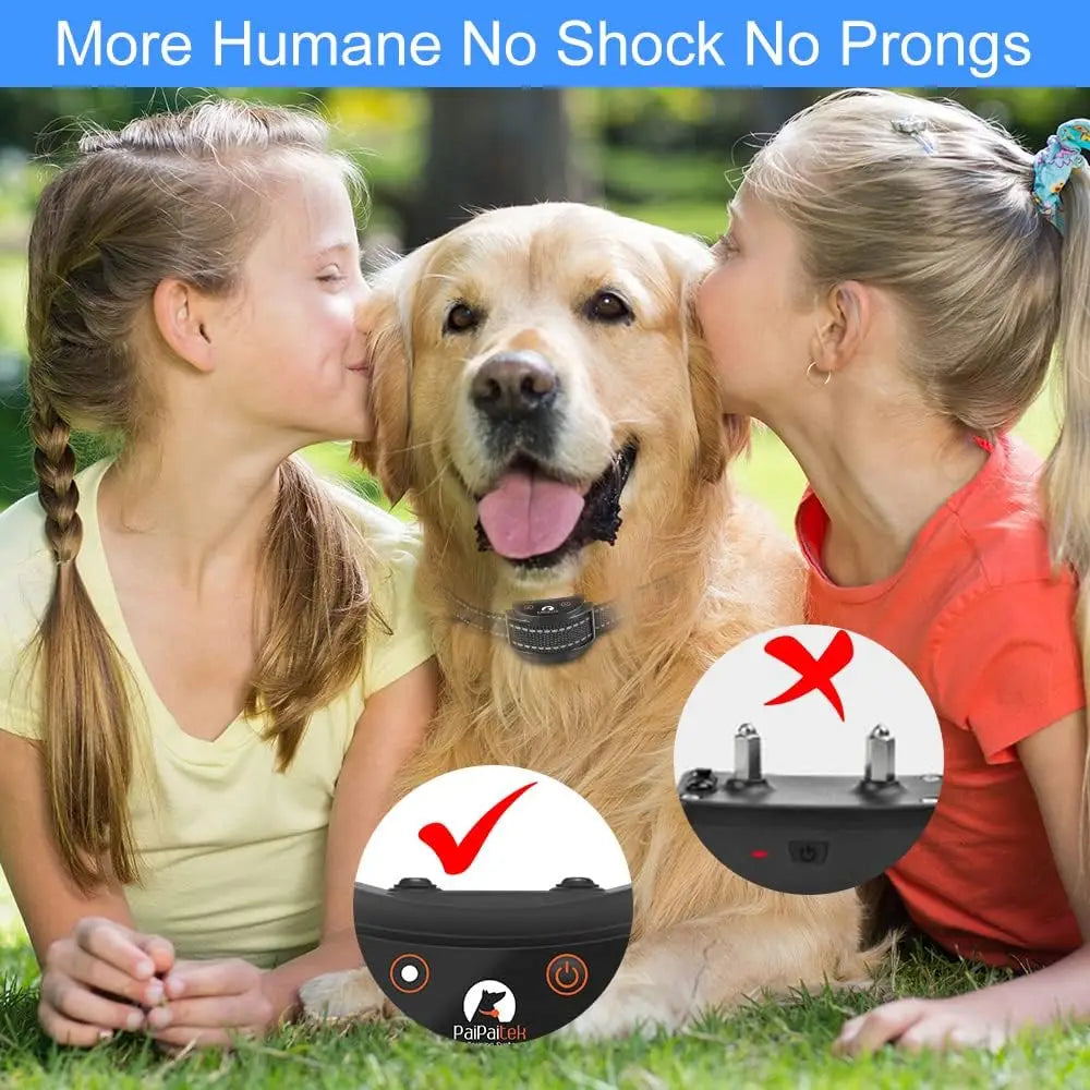 No Shock Dog Training Collar with Remote,1600ft Rechargeable Vibration Collar.