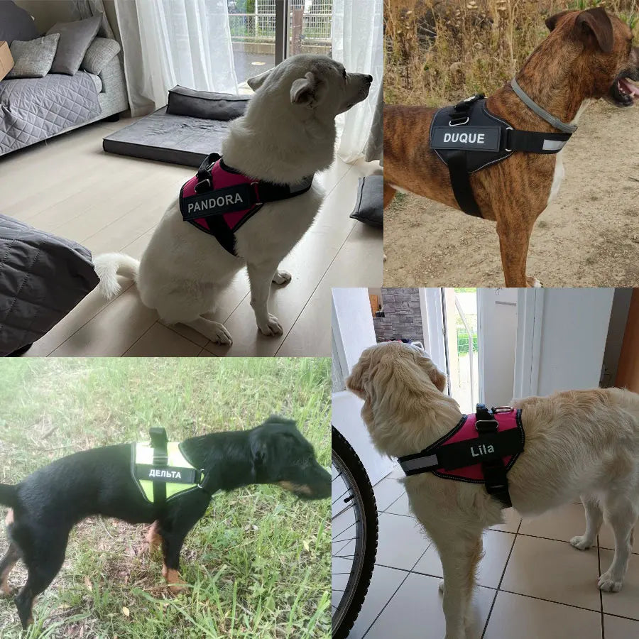 Dog Harness Vest ID Patch Customized Reflective Breathable Adjustable