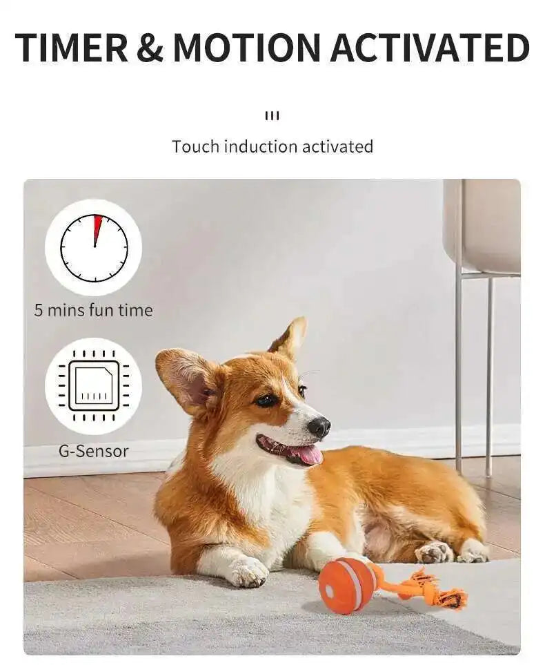 Interactive Teasing Ball With Motion Activated Automatic Moving Squeaky Dog Toy