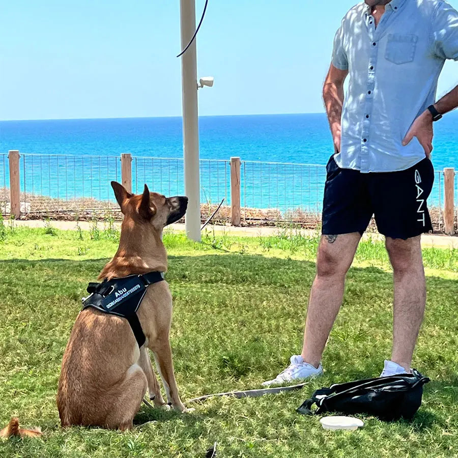 Dog Harness Vest ID Patch Customized Reflective Breathable Adjustable