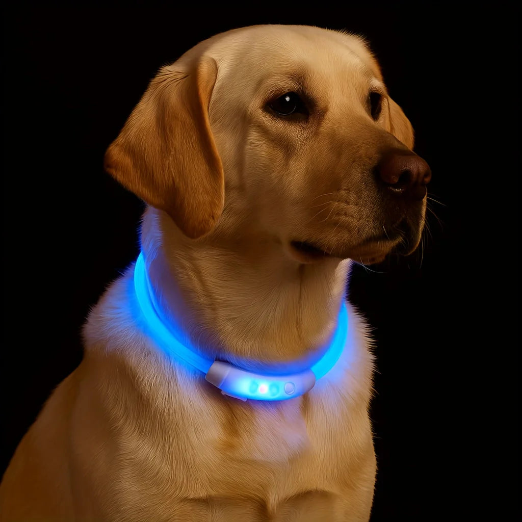 New LED Dog Collar Rechargeable，3 Mode Adjustable Glowing Dog Collar