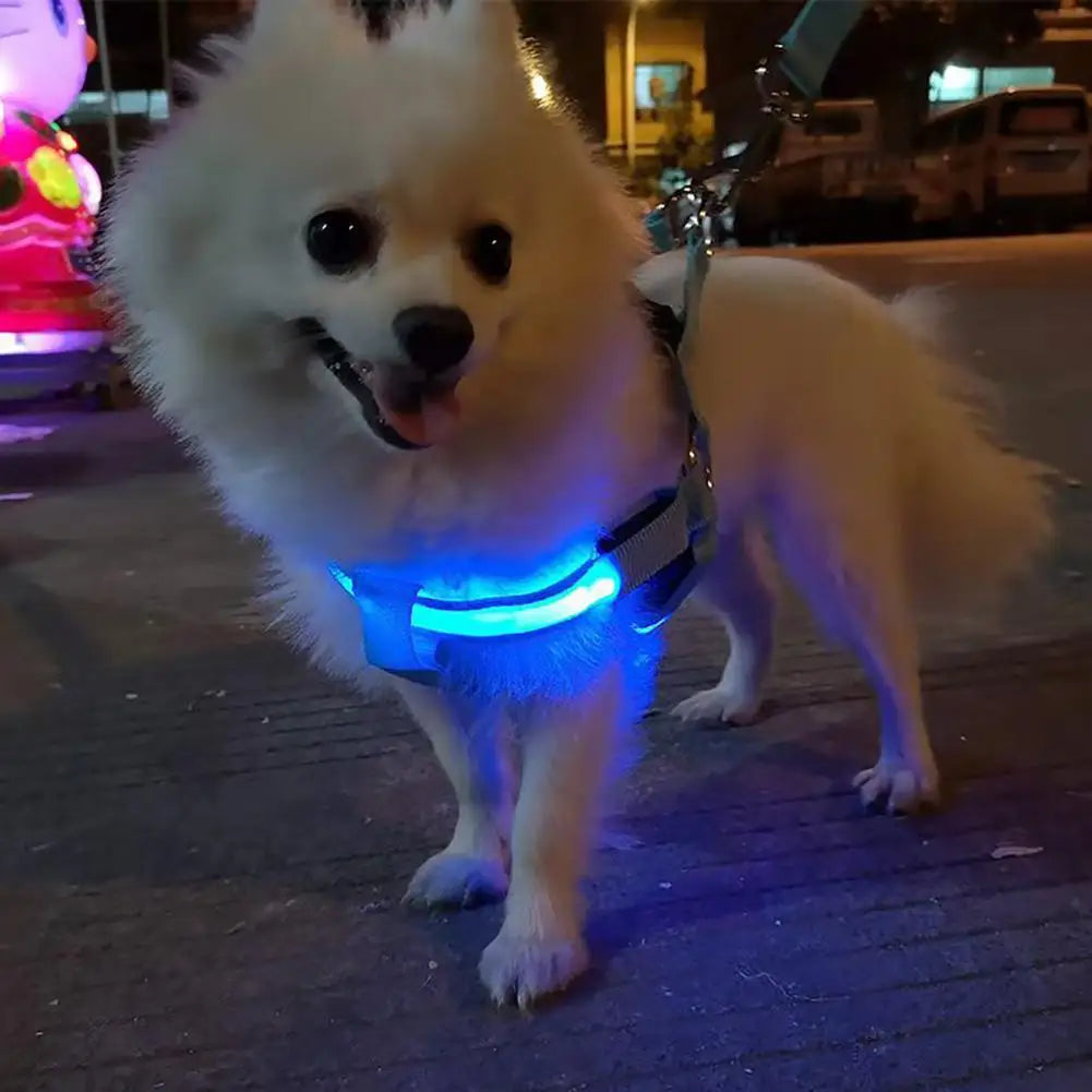 Adjustable LED Pet Harness USB Rechargeable Light Up Dog Harness