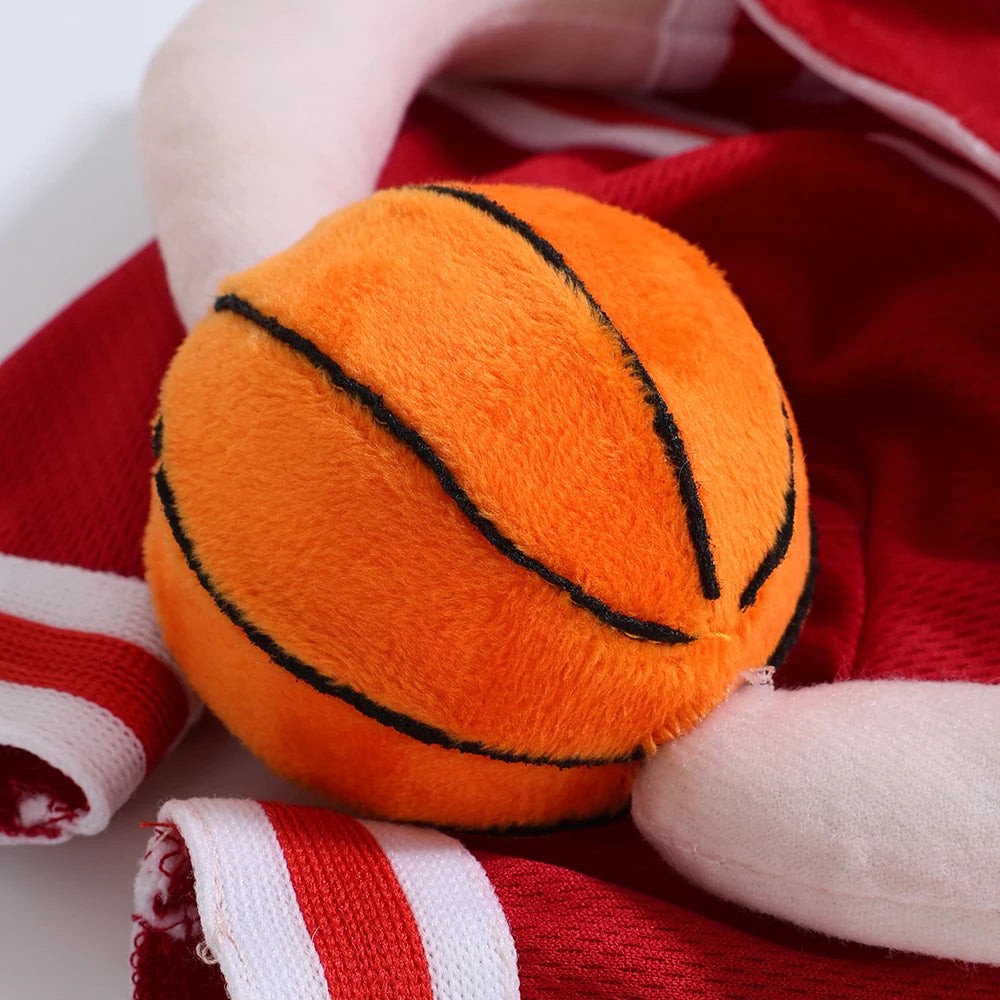 Funny Basketball Cosplay Pet Costume