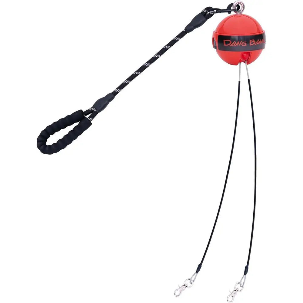 Tangle-Free Multi-Dog Leash for 2-4 Dogs
