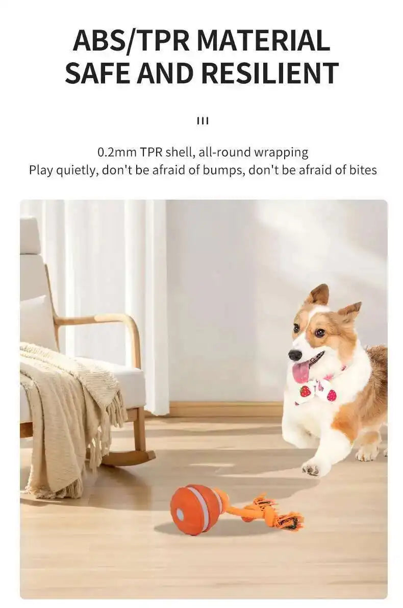Interactive Teasing Ball With Motion Activated Automatic Moving Squeaky Dog Toy