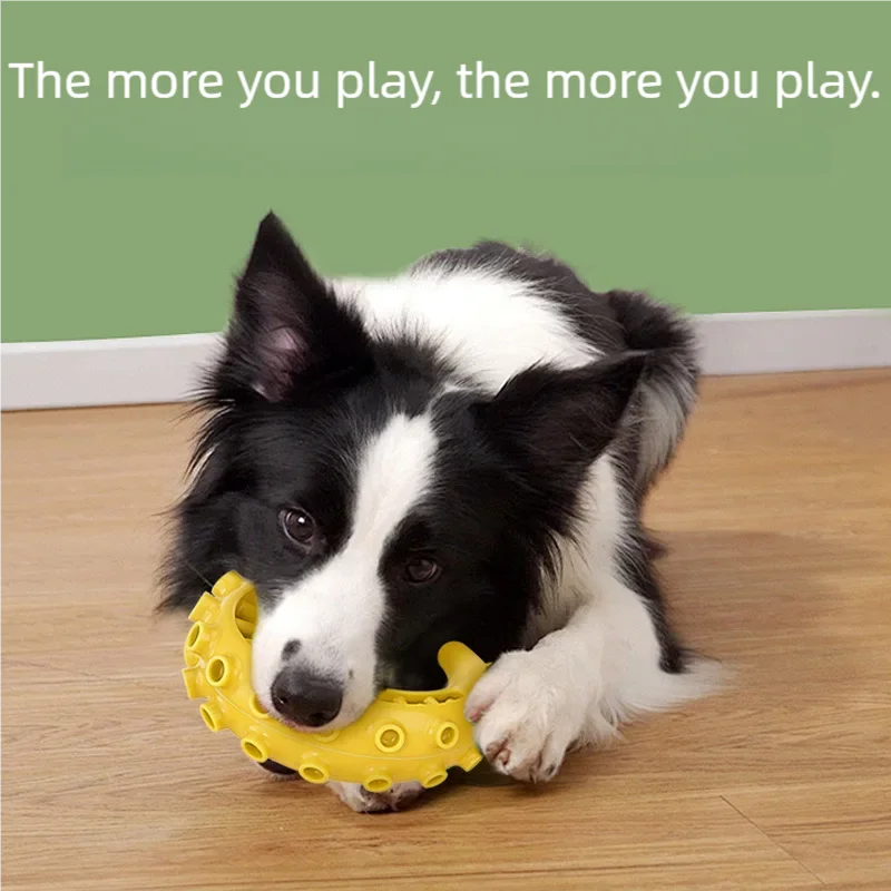 TPR Pet Dog Toys for Small Medium Dogs Bite-resistant