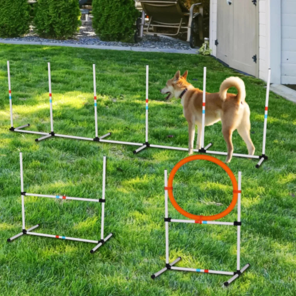 3PC Dog Agility Equipment Set, Obstacle Course.