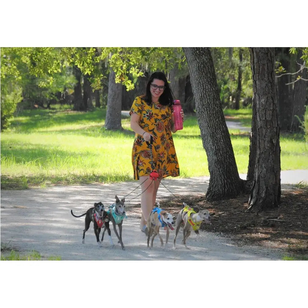 Tangle-Free Multi-Dog Leash for 2-4 Dogs