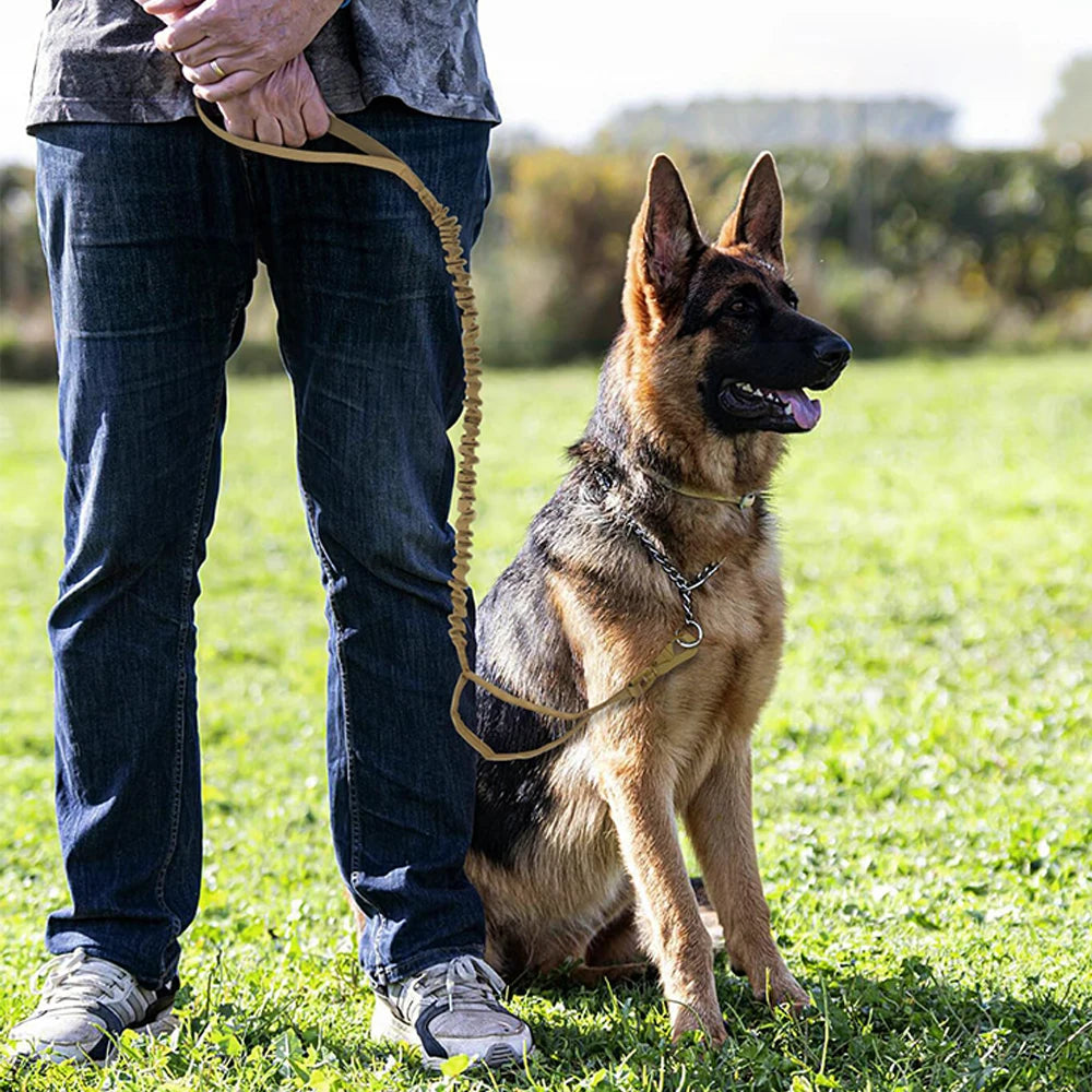 Military Adjustable Leash Quick Release Elastic Rope.