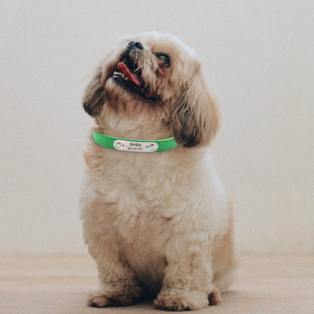 Personalized Dog Collar Name Carved 16 Colors Solid PU Leather Collar