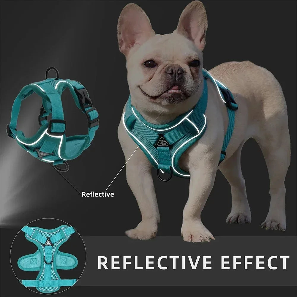 No Pull Dog Harness and Leash Set Adjustable Pet Harness Vest.