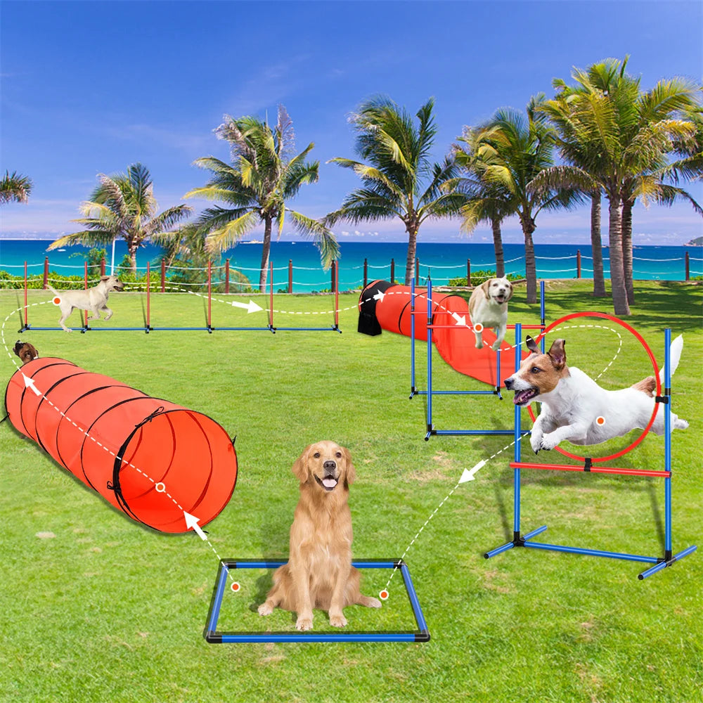 Dog Agility Training Equipment 7 PCS Set