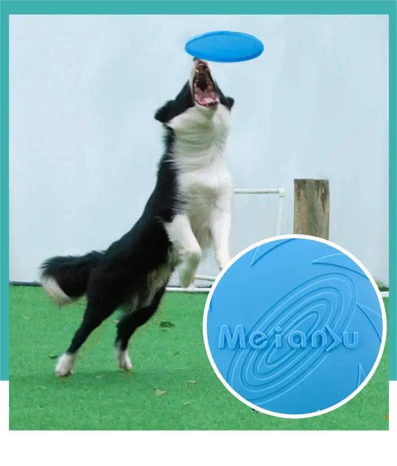 Bite Resistant Flying Disc Toys For Dog Multifunction