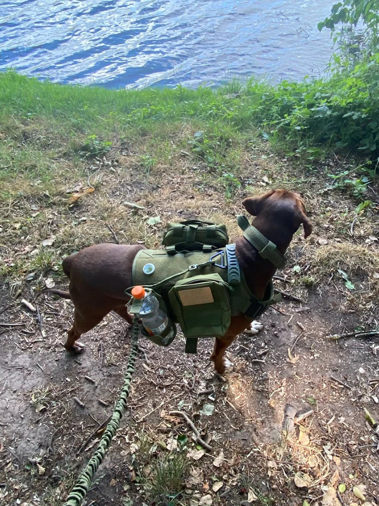 Tactical Dog Harness Collar Leash Pouches For Medium Large Dogs